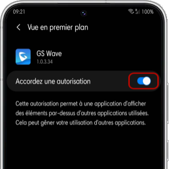 Authorize popup display